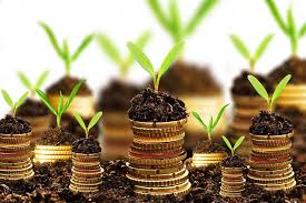 Nhà đầu tư nào được ưu tiên cộng thêm điểm vào điểm tổng hợp để so sánh, xếp hạng khi tham dự thầu?